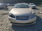 2011 Lexus ES 350