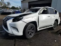 Salvage cars for sale at New Britain, CT auction: 2015 Lexus GX 460