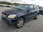 2007 Mercedes-Benz ML 500