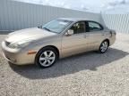 2006 Lexus ES 330