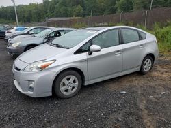 Toyota salvage cars for sale: 2010 Toyota Prius