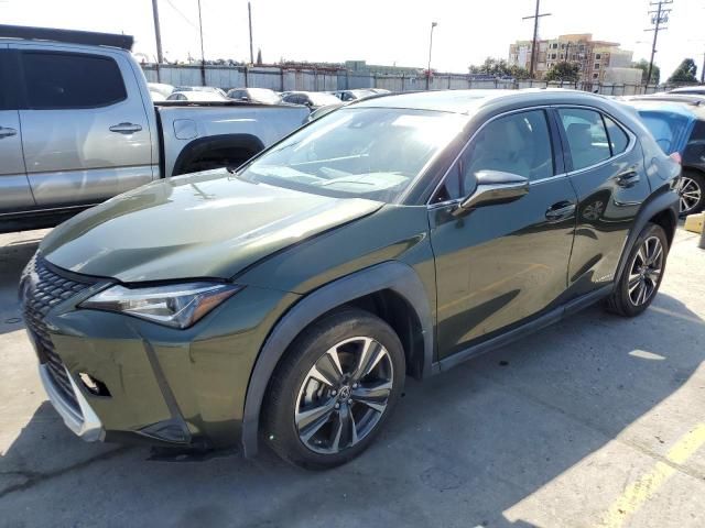 2019 Lexus UX 250H