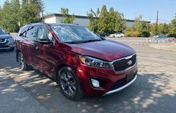 Salvage cars for sale at Portland, OR auction: 2016 KIA Sorento SX