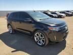 2013 Ford Edge Sport