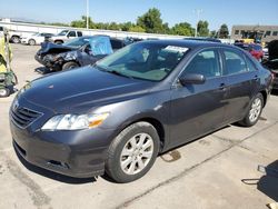 Toyota salvage cars for sale: 2007 Toyota Camry LE