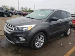 Salvage cars for sale at Woodhaven, MI auction: 2019 Ford Escape SE