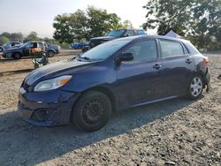 Salvage cars for sale at Baltimore, MD auction: 2009 Toyota Corolla Matrix S