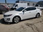 2016 KIA Optima Hybrid