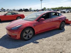 Salvage cars for sale at Indianapolis, IN auction: 2021 Tesla Model 3