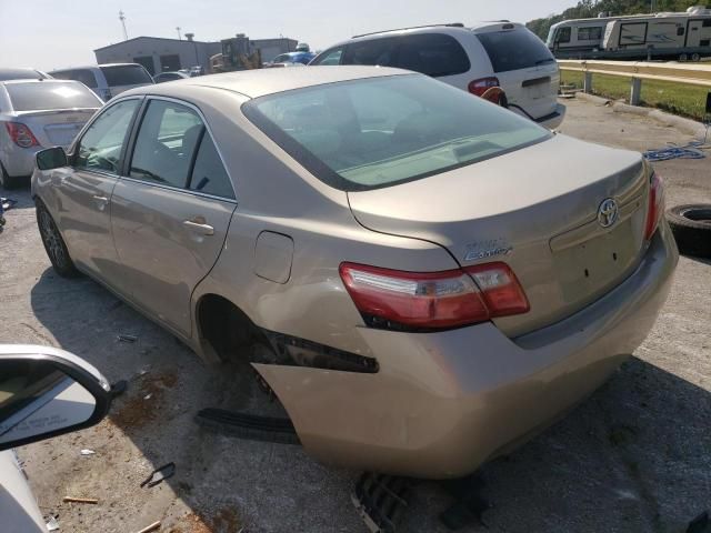 2009 Toyota Camry SE