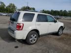 2010 Ford Escape Limited