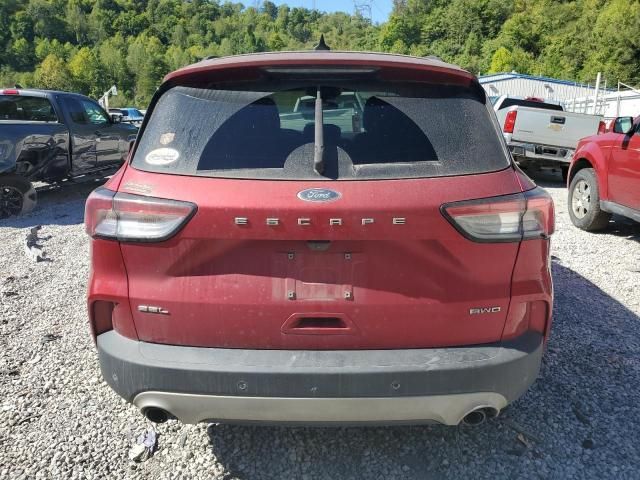 2022 Ford Escape SEL