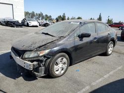 Honda Civic lx Vehiculos salvage en venta: 2014 Honda Civic LX