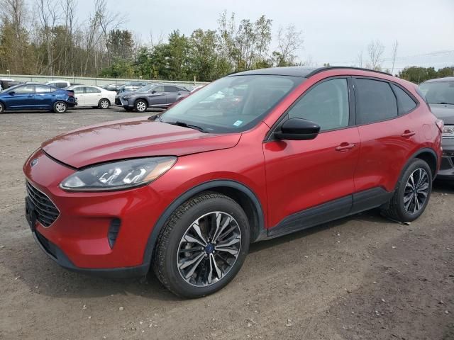 2021 Ford Escape SE