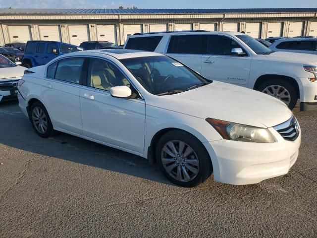 2011 Honda Accord EXL