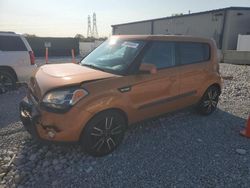 Salvage cars for sale at Barberton, OH auction: 2010 KIA Soul +