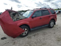 Salvage cars for sale at West Palm Beach, FL auction: 2012 Ford Escape XLT