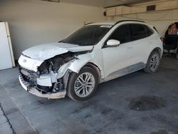 Ford Escape sel salvage cars for sale: 2020 Ford Escape SEL