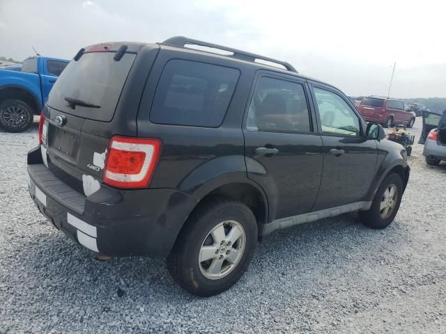 2009 Ford Escape XLT