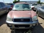 2001 Hyundai Santa FE GLS