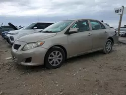 Toyota salvage cars for sale: 2010 Toyota Corolla Base