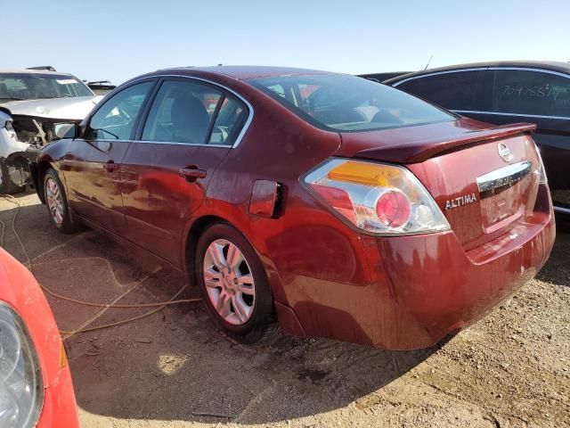 2010 Nissan Altima Base