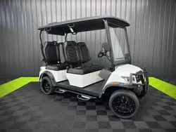 Salvage trucks for sale at Avon, MN auction: 2024 Frme Golf Cart