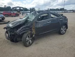 Salvage cars for sale at Newton, AL auction: 2016 KIA Sportage EX