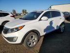 2011 KIA Sportage EX