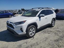 Toyota salvage cars for sale: 2020 Toyota Rav4 XLE