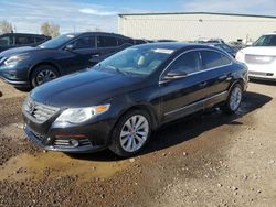 Volkswagen Vehiculos salvage en venta: 2011 Volkswagen CC Sport