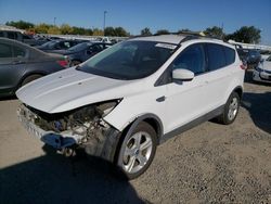 Ford salvage cars for sale: 2013 Ford Escape SE