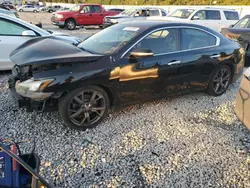 Nissan salvage cars for sale: 2014 Nissan Maxima S