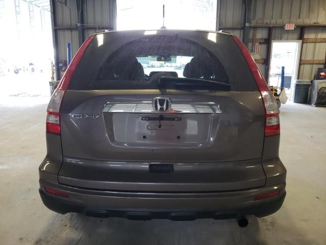 2010 Honda CR-V EXL