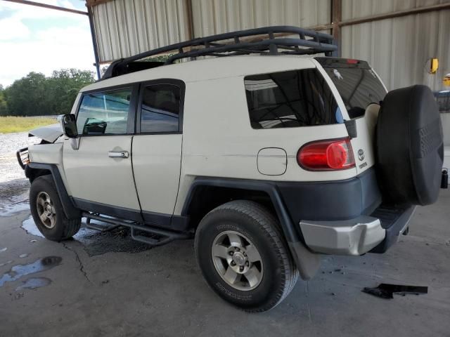 2010 Toyota FJ Cruiser