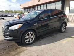 Salvage cars for sale at Fort Wayne, IN auction: 2013 Ford Escape SEL