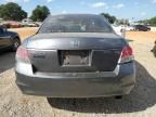 2010 Honda Accord LXP