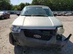 2006 Ford Escape XLT