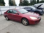 2006 Honda Accord SE