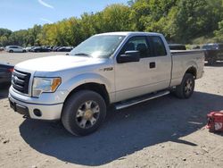 Salvage cars for sale at Marlboro, NY auction: 2010 Ford F150 Super Cab