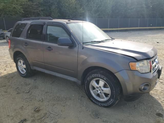 2009 Ford Escape XLT