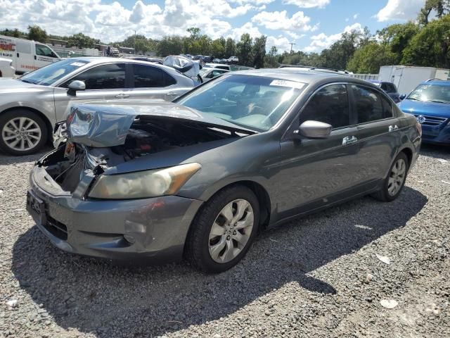 2009 Honda Accord EXL