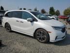 2021 Honda Odyssey Elite