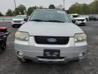 2007 Ford Escape XLT