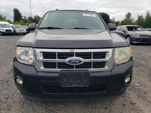 2011 Ford Escape XLT