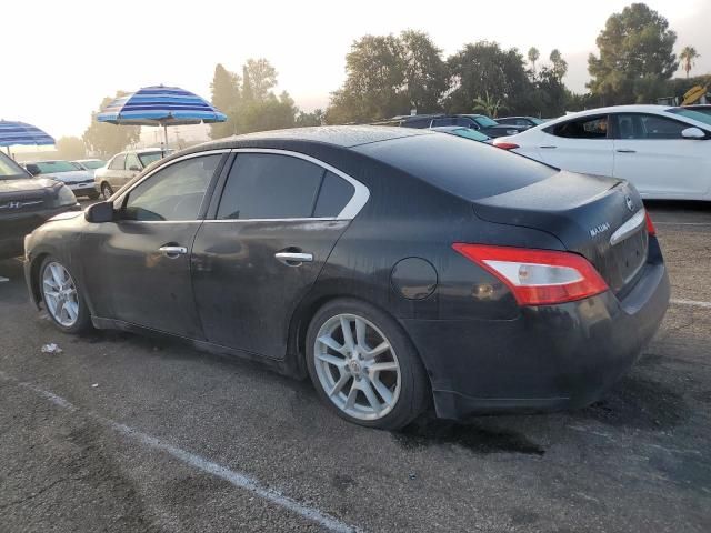 2009 Nissan Maxima S