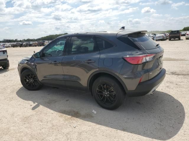 2020 Ford Escape SE Sport