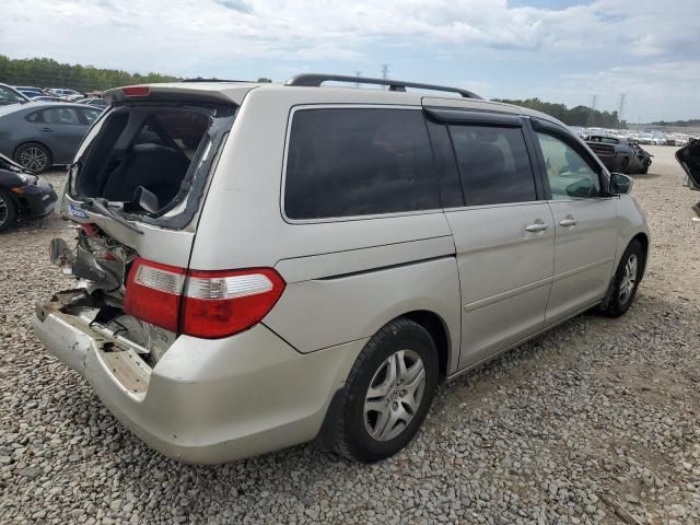 2005 Honda Odyssey EXL