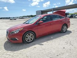 Salvage cars for sale at West Palm Beach, FL auction: 2017 Hyundai Sonata SE