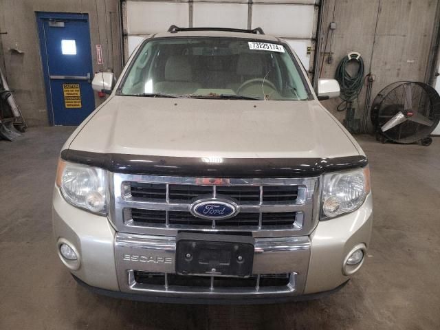 2010 Ford Escape Limited